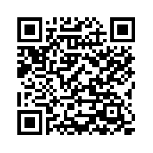 THEMIS Lite PlayStore QR Code